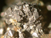 cobalt ore