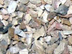 concrete aggregate