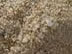 dried sand dried sand