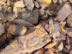 iron ore iron ore