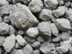 cement clinker cement clinker
